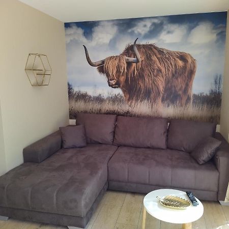 Ferienhof-Dachsberg Wohnung Highlander Bermatingen Extérieur photo